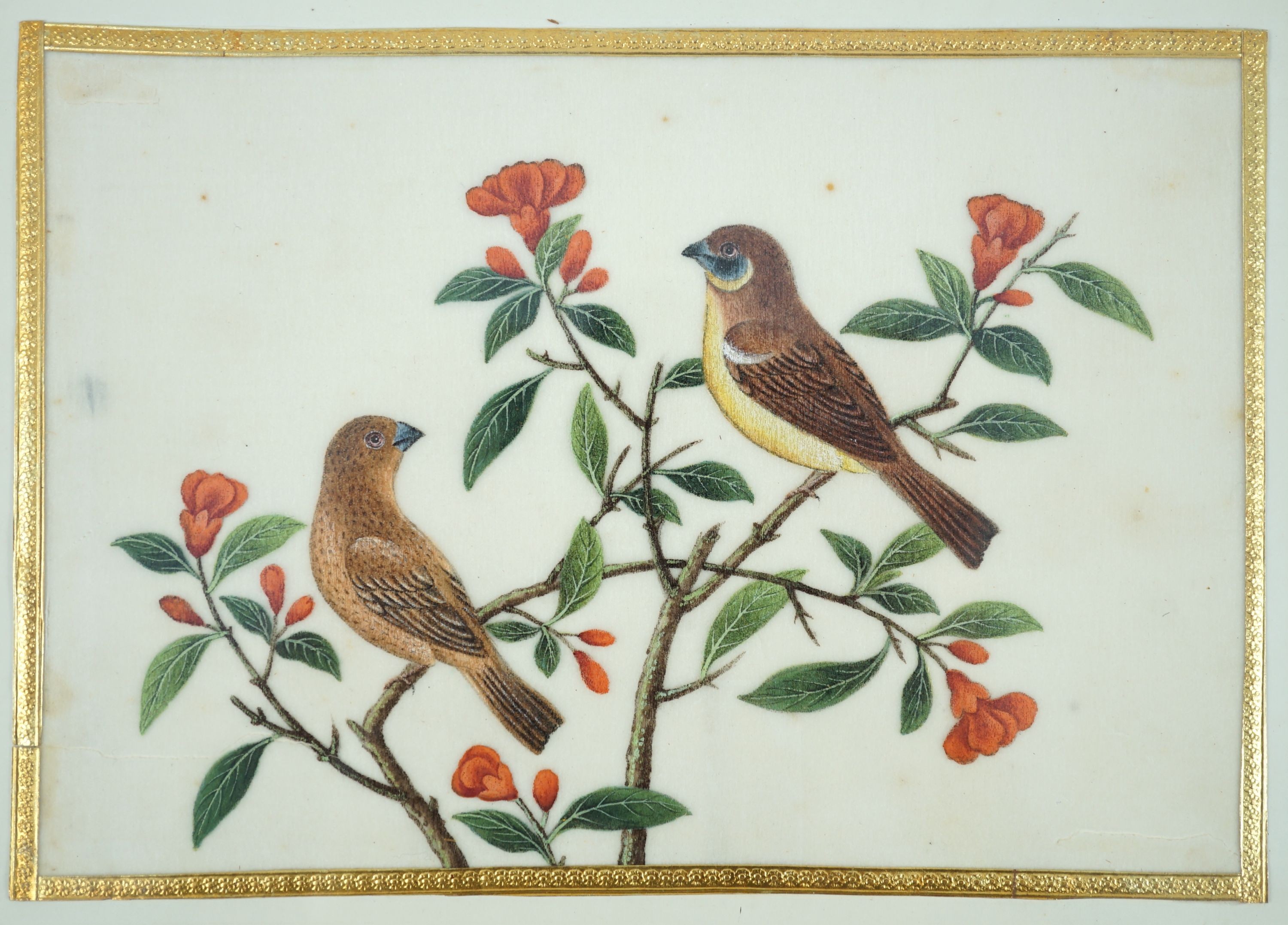 A set of 16 Chinese pith paintings of birds and flowers, mid 19th century, Largest Image 12cm x 18cm